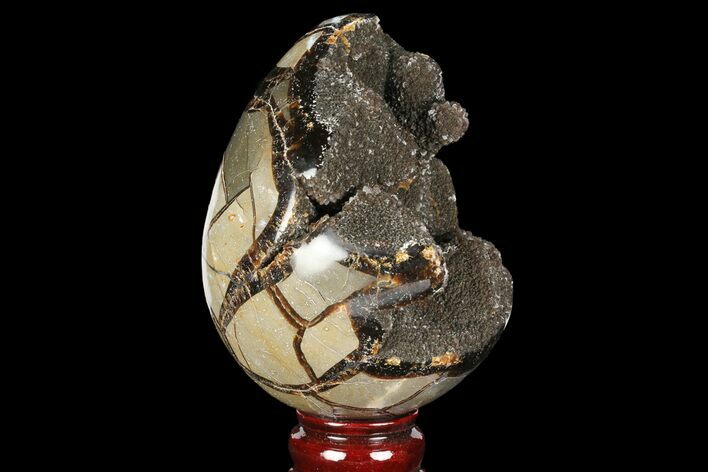 Septarian Dragon Egg Geode - Black Crystals #98854